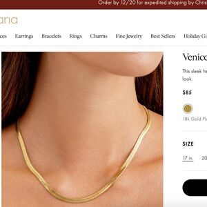 Unworn Gorjana Venice Necklace - Gold